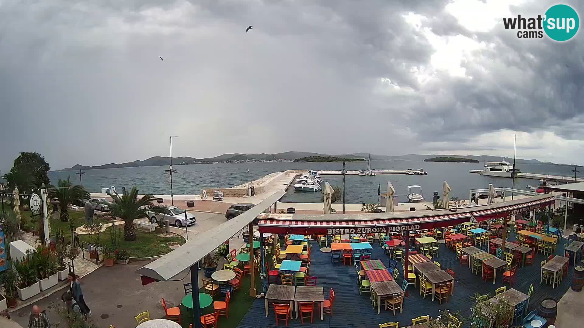 Biograd na Moru –  Coast King Petar Krešimir IV