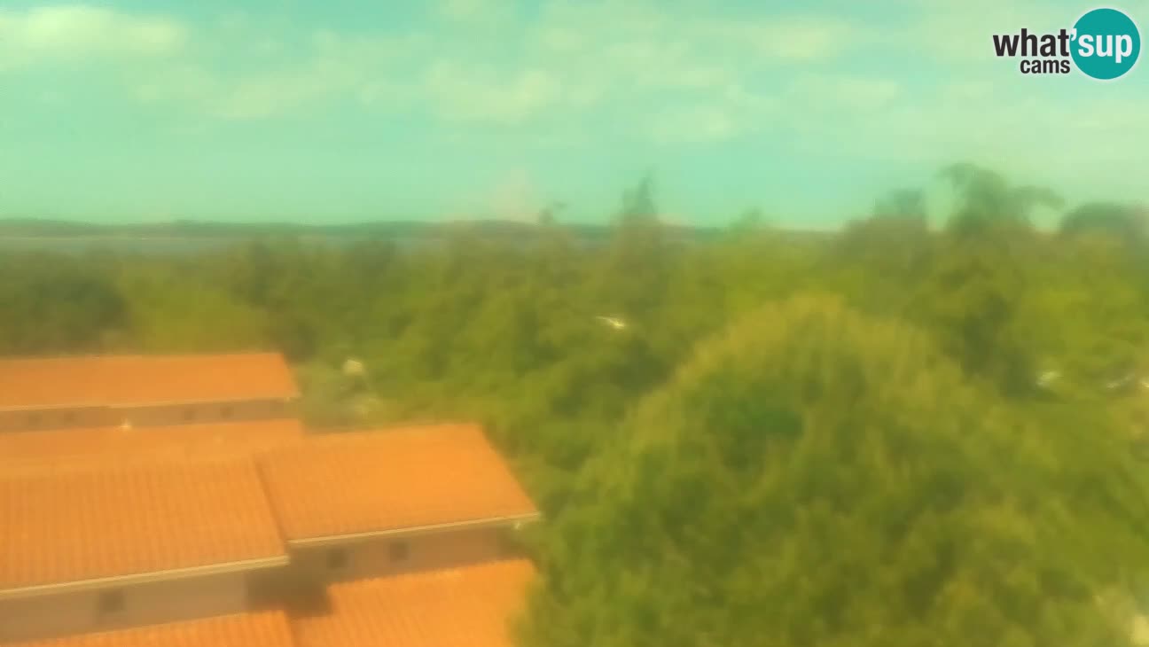 BiVillage – Fažana