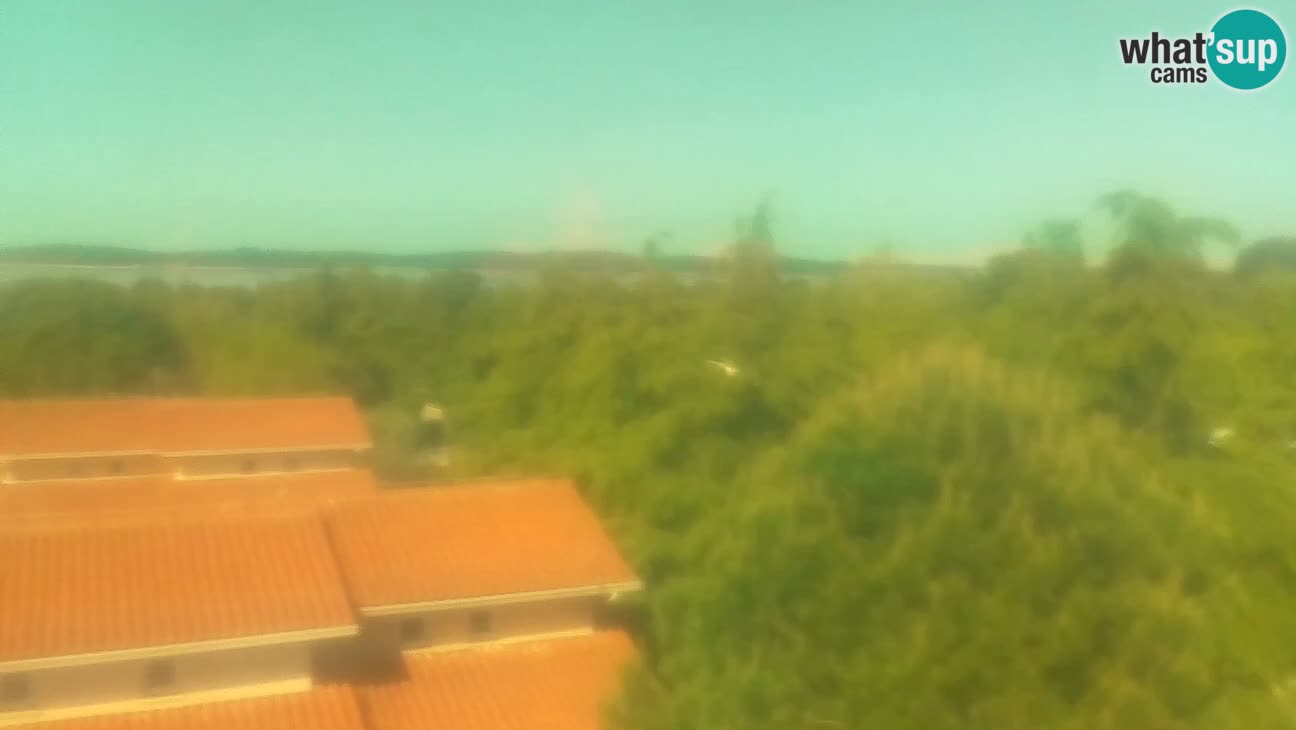 BiVillage – Fažana