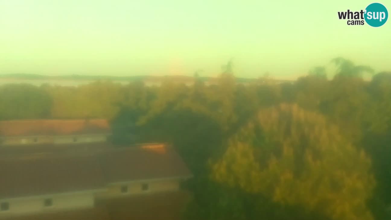 BiVillage – Fažana