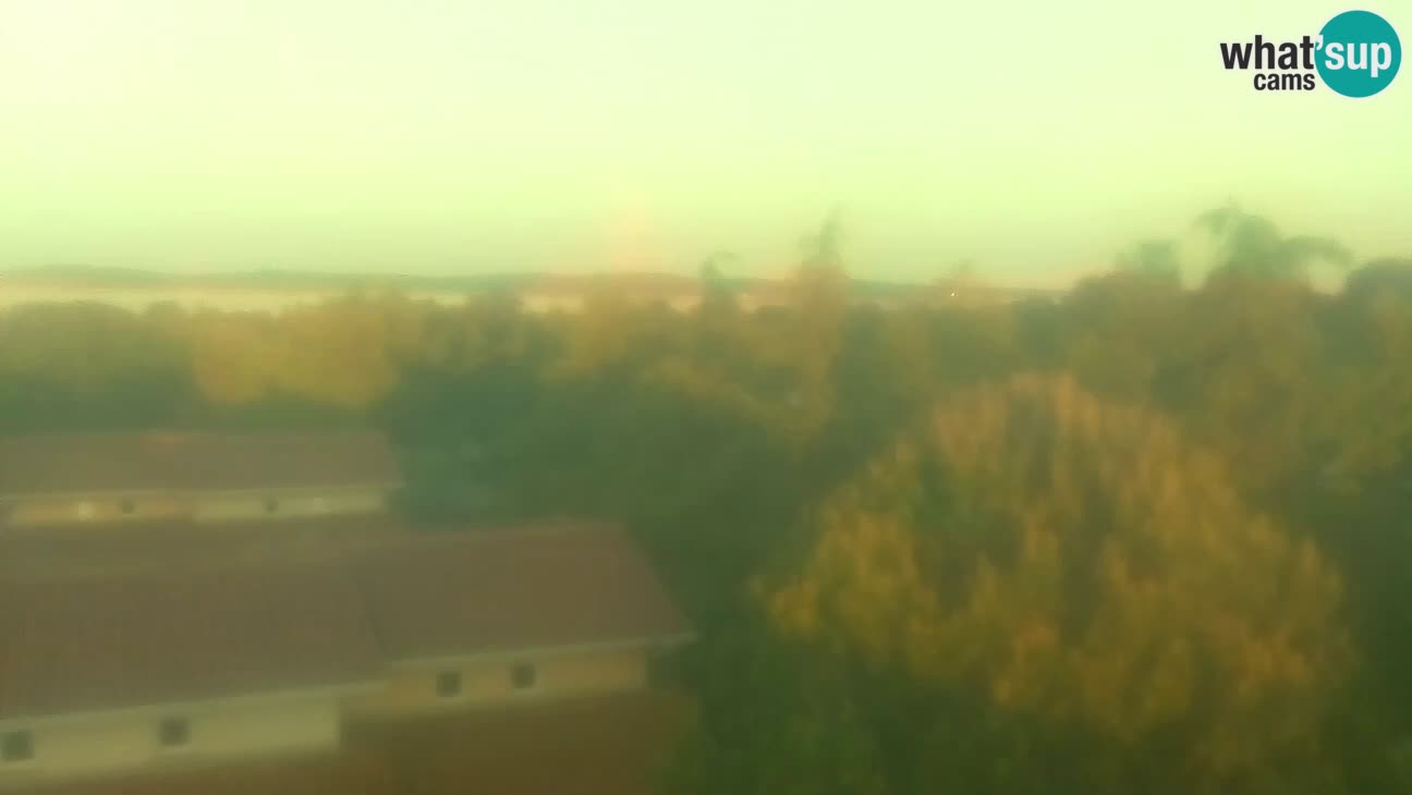 BiVillage – Fažana