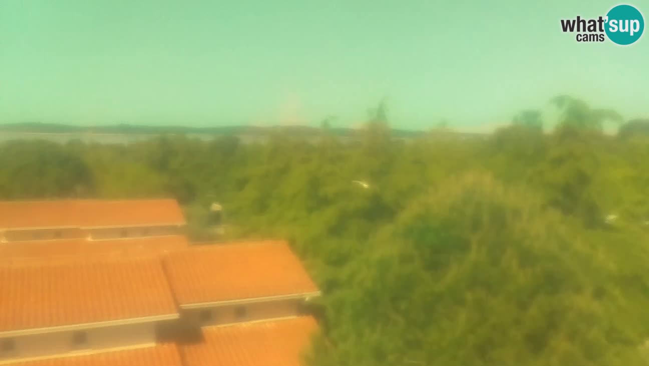 BiVillage – Fažana
