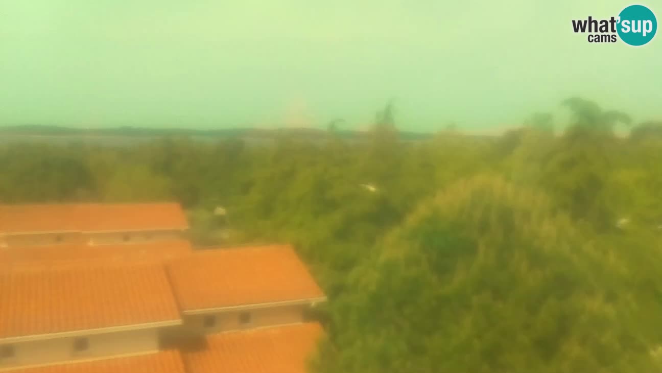BiVillage – Fažana
