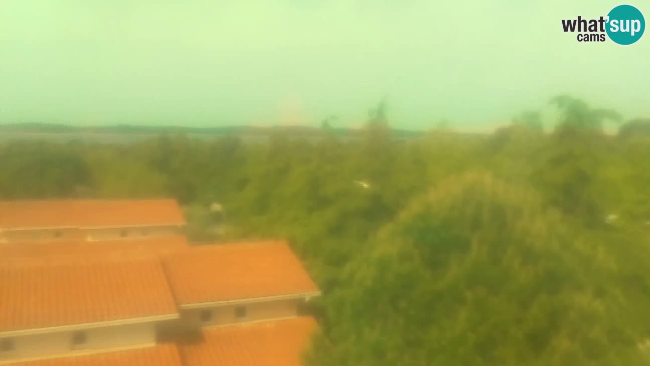 BiVillage – Fažana