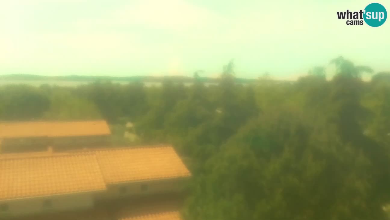 BiVillage – Fažana