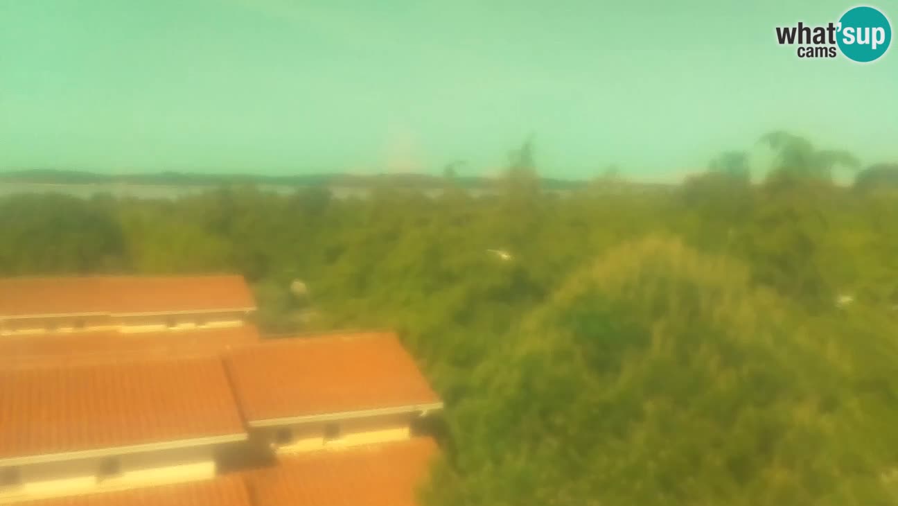 BiVillage – Fažana