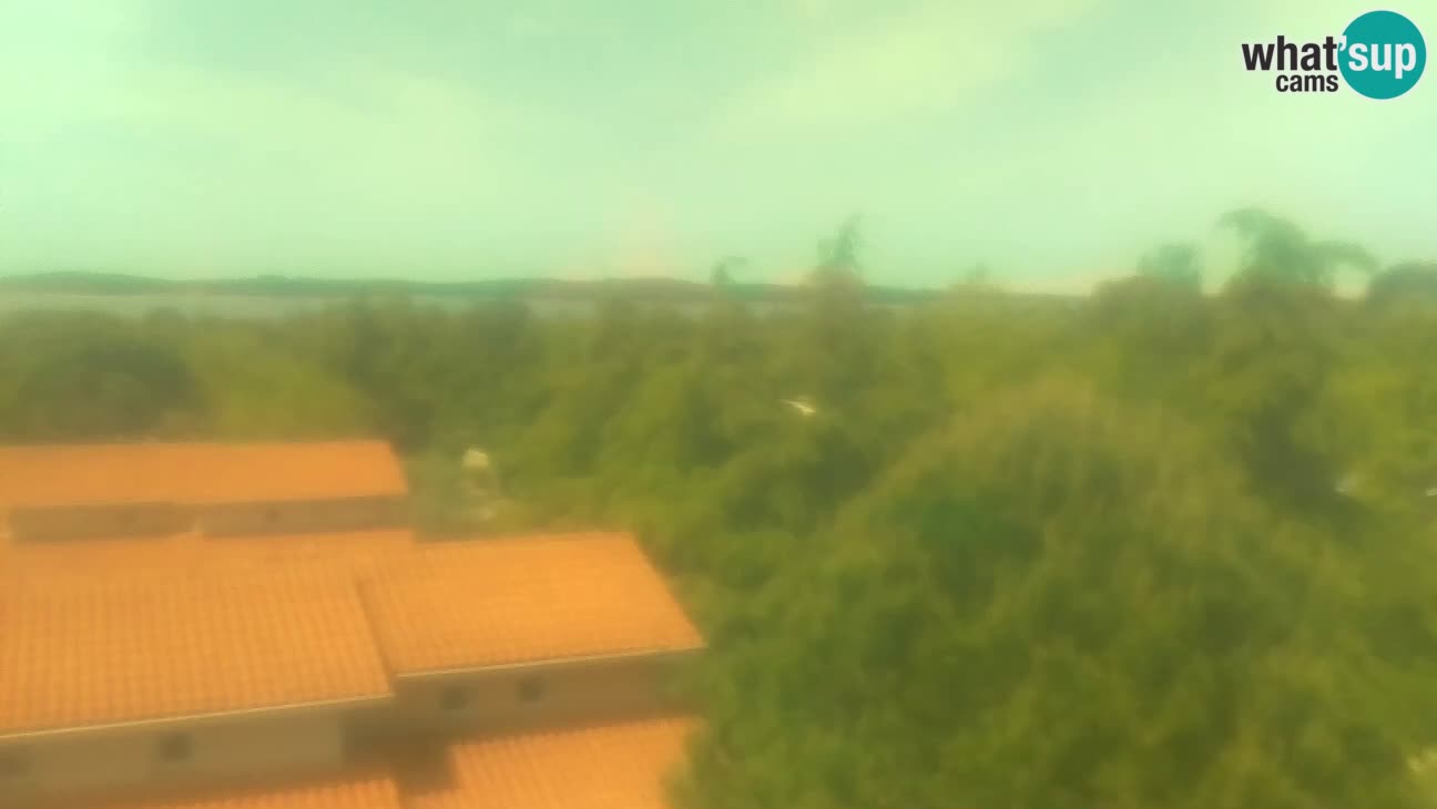 BiVillage – Fažana
