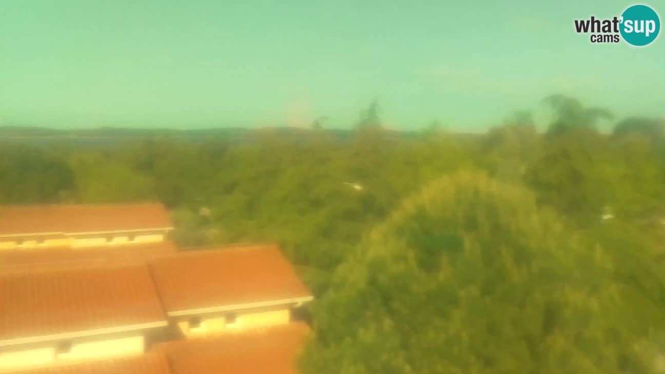 BiVillage – Fažana