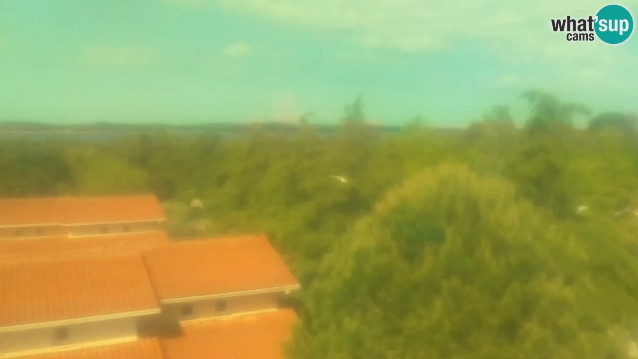 BiVillage – Fažana
