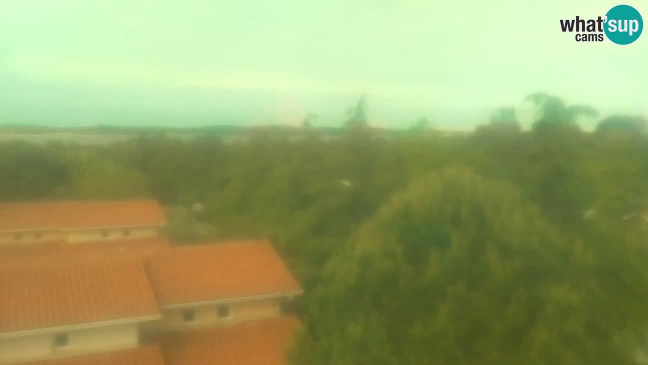 BiVillage – Fažana