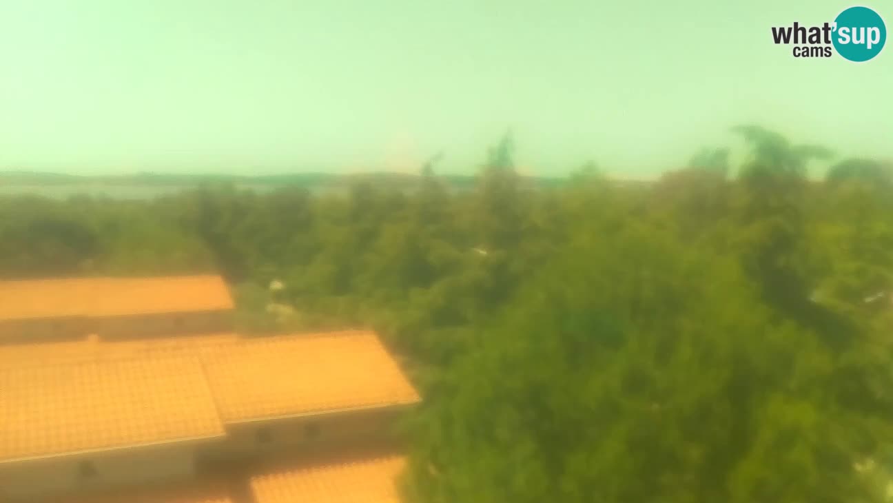 BiVillage – Fažana