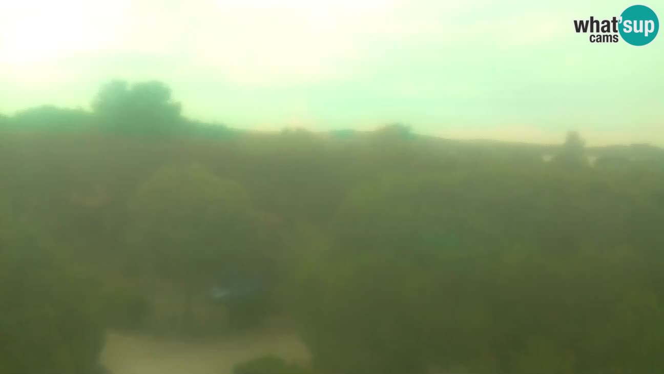 BiVillage – Fažana