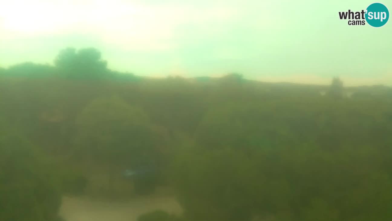 BiVillage – Fažana
