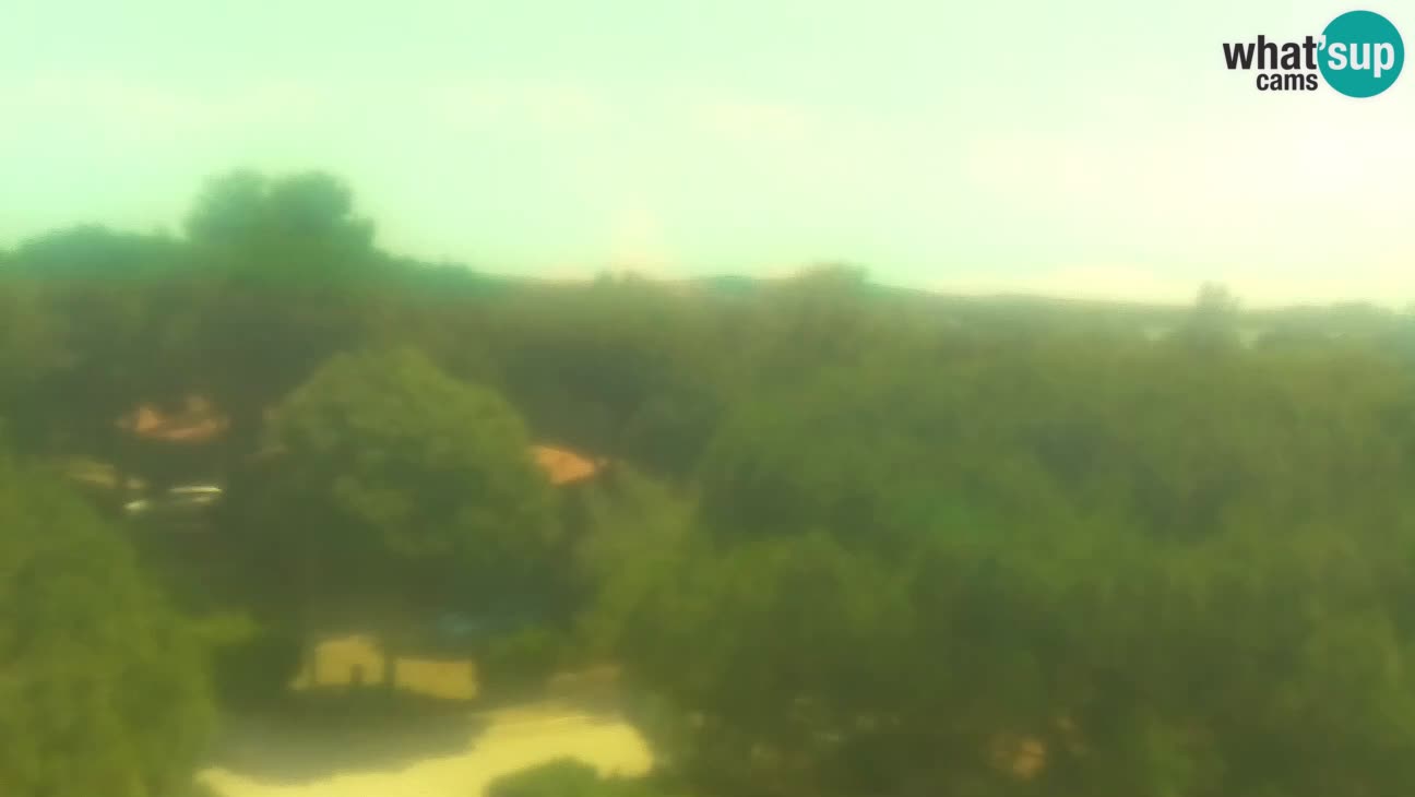 BiVillage – Fažana