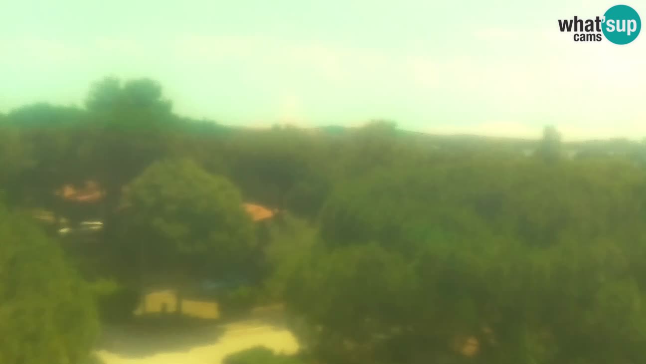 BiVillage – Fažana