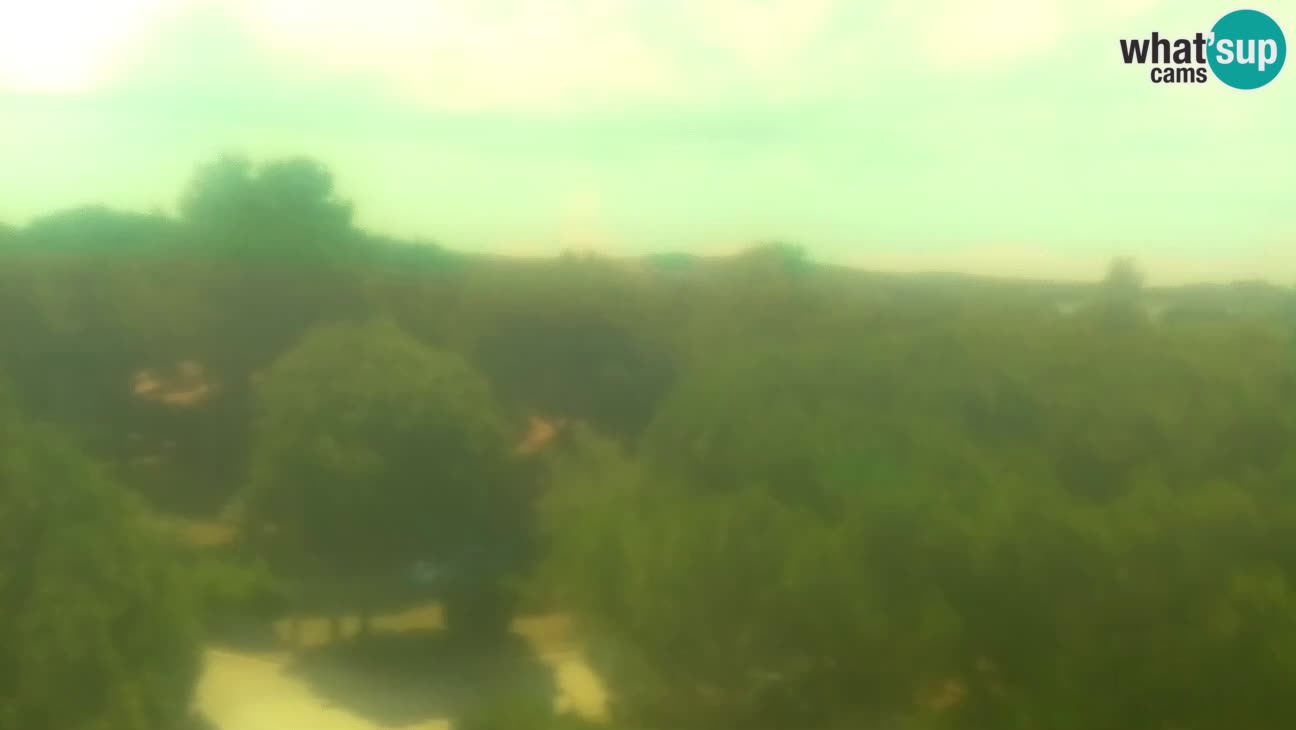 BiVillage – Fažana