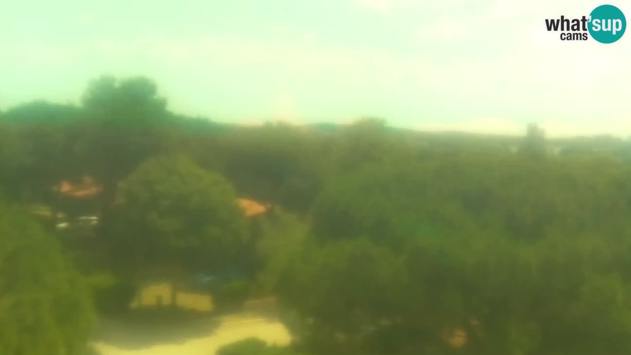 BiVillage – Fažana