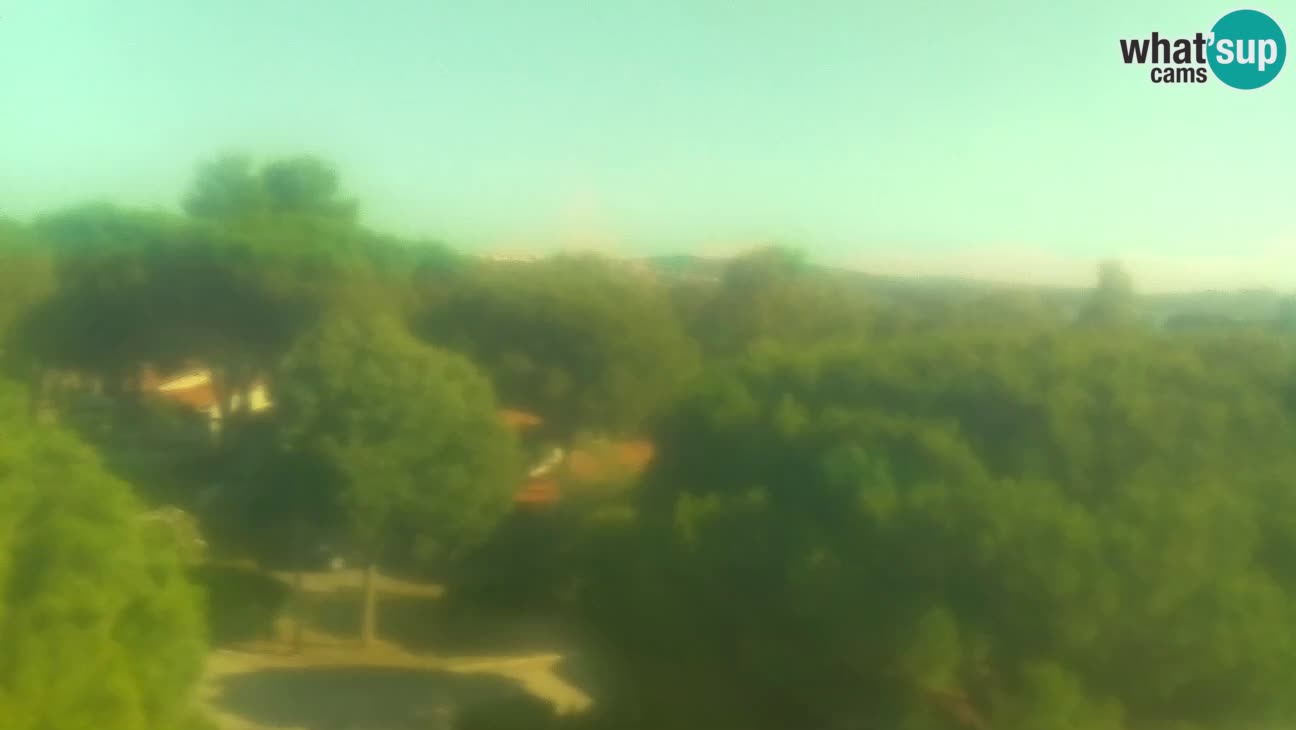 BiVillage – Fažana
