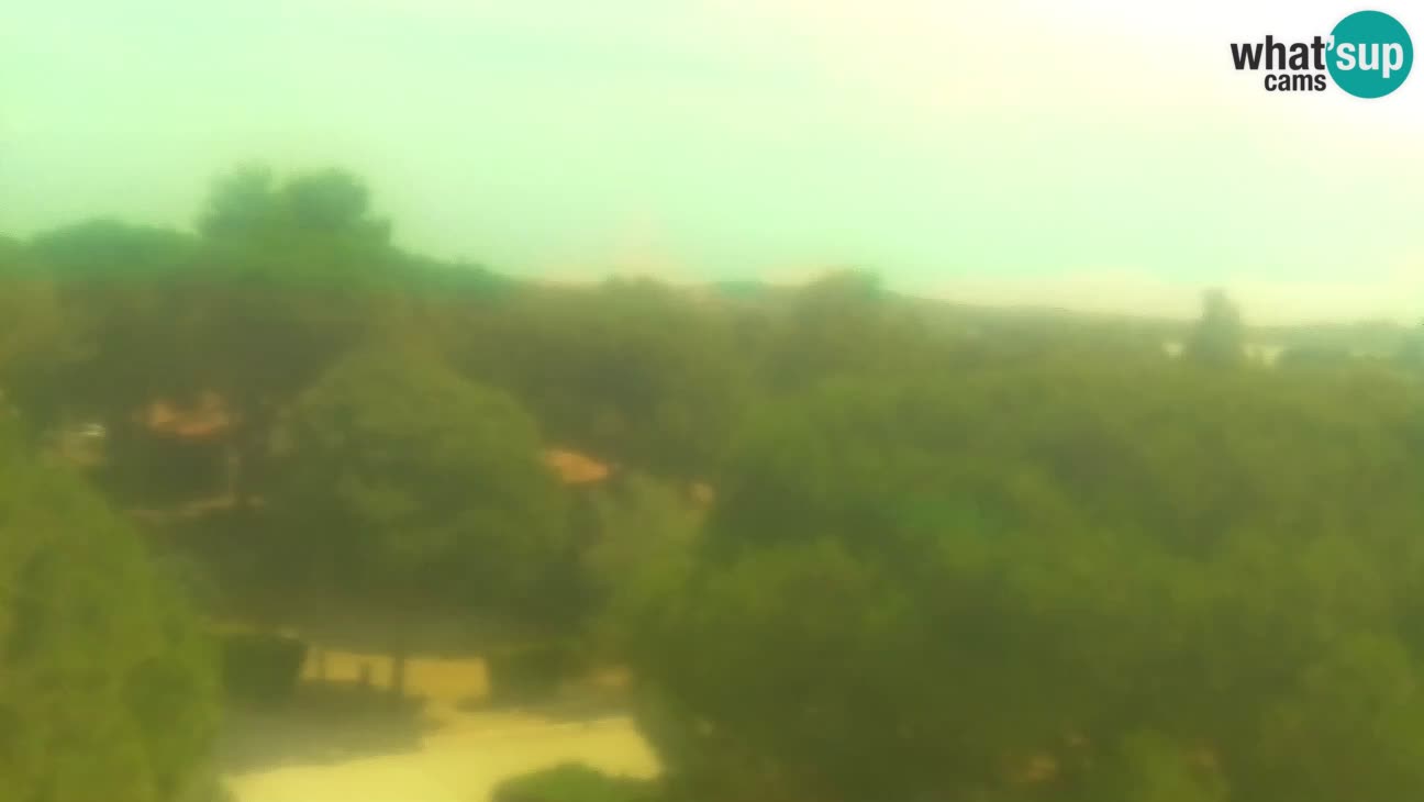 BiVillage – Fažana