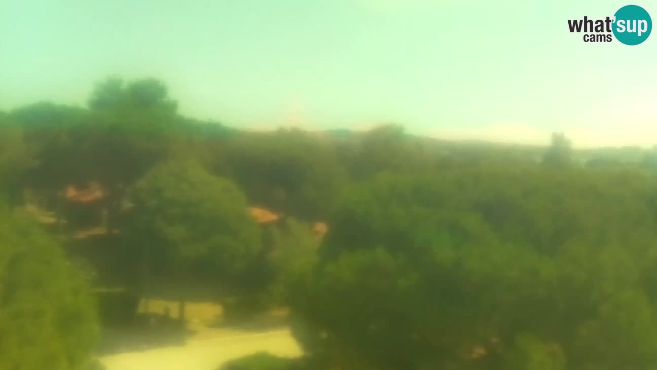 BiVillage – Fažana