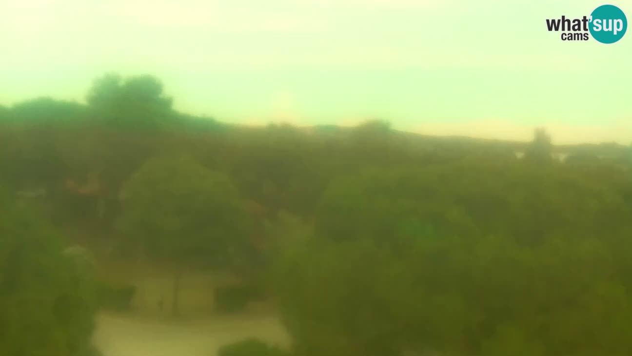 BiVillage – Fažana