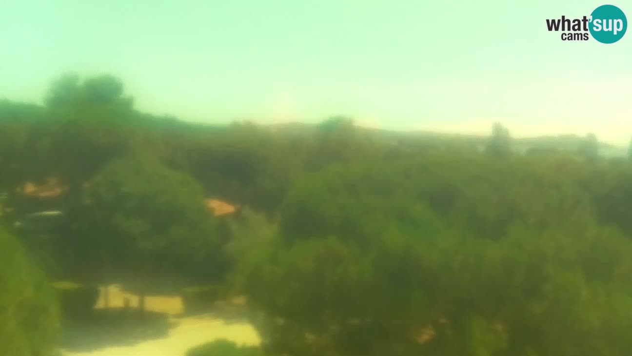 BiVillage – Fažana