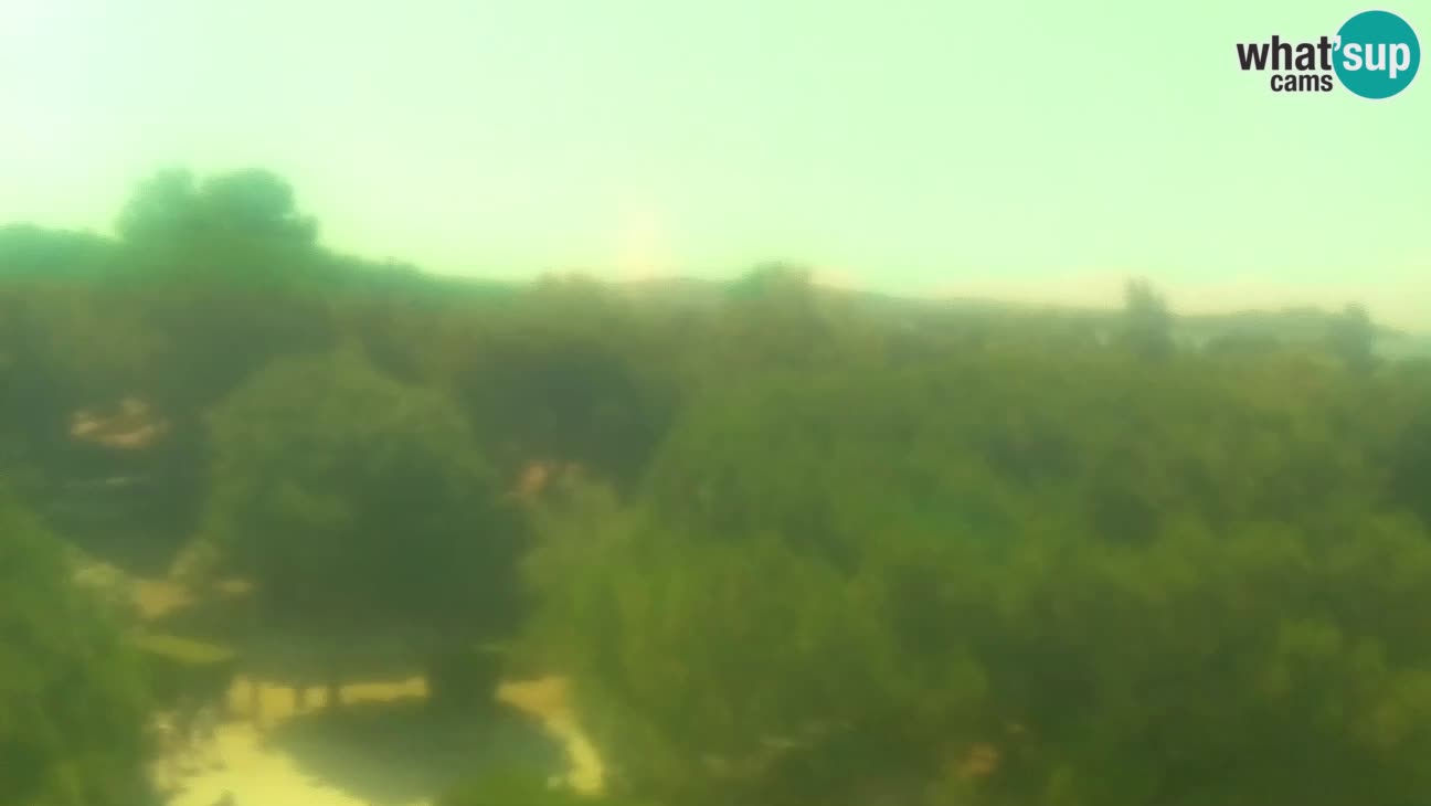 BiVillage – Fažana