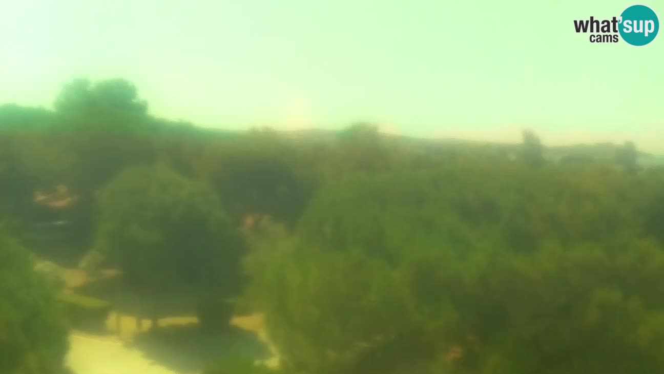 BiVillage – Fažana