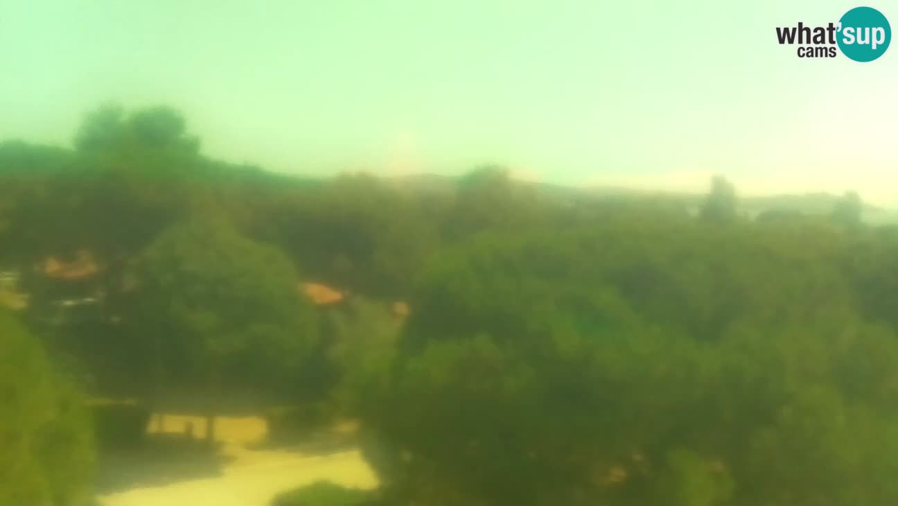 BiVillage – Fažana