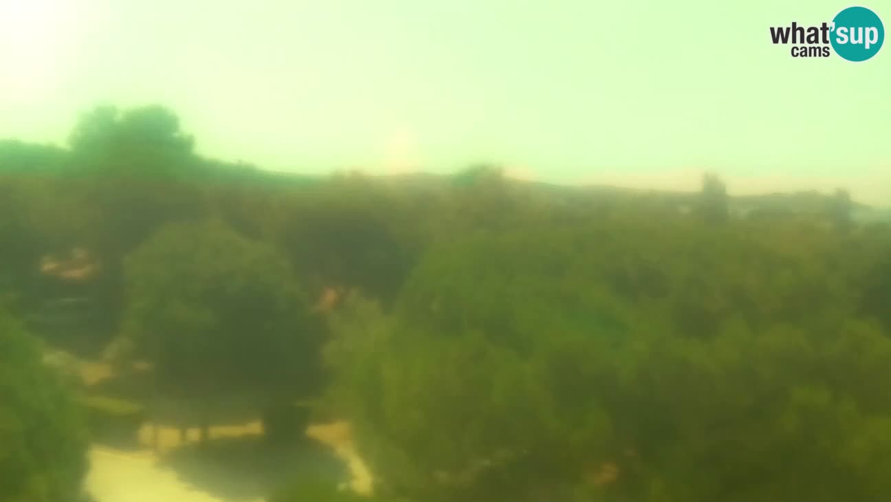BiVillage – Fažana