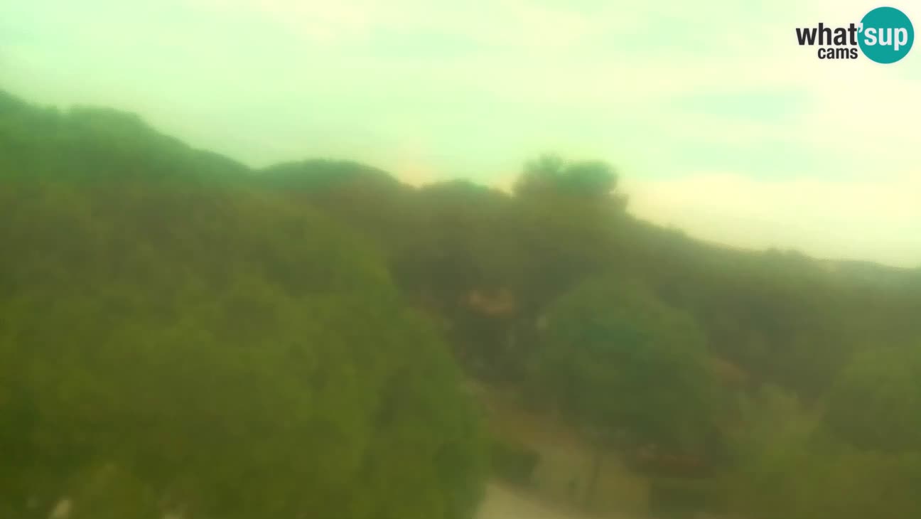 BiVillage – Fažana