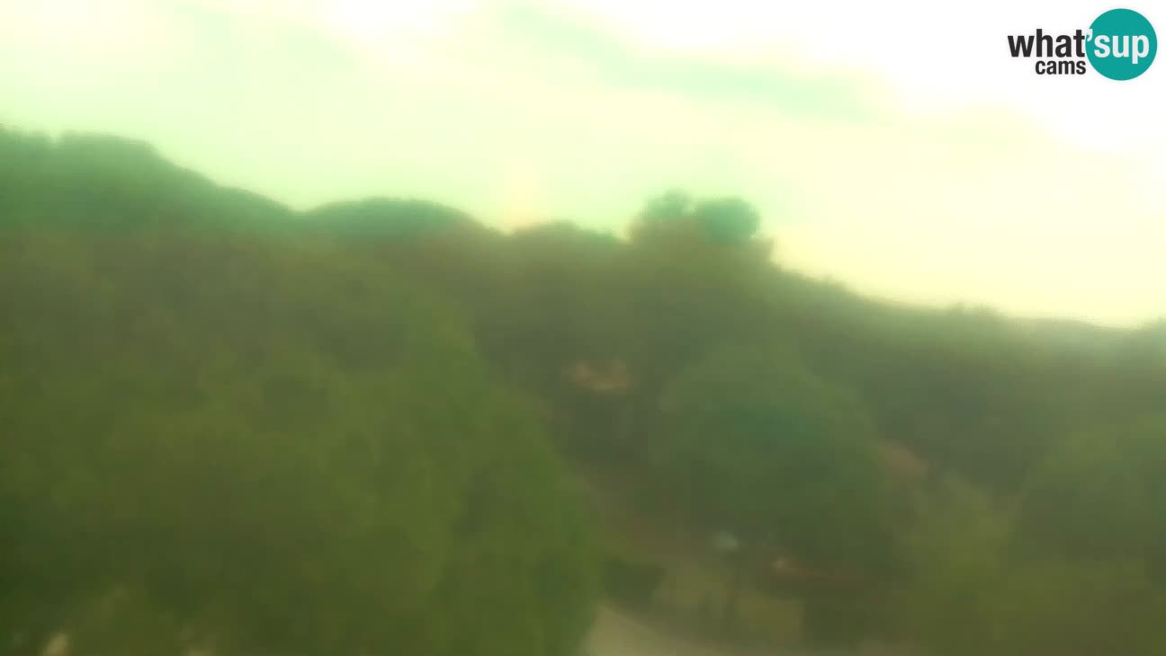 BiVillage – Fažana