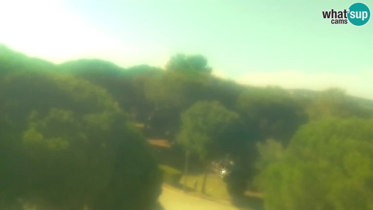 BiVillage – Fažana