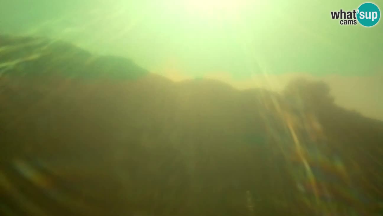 BiVillage – Fažana