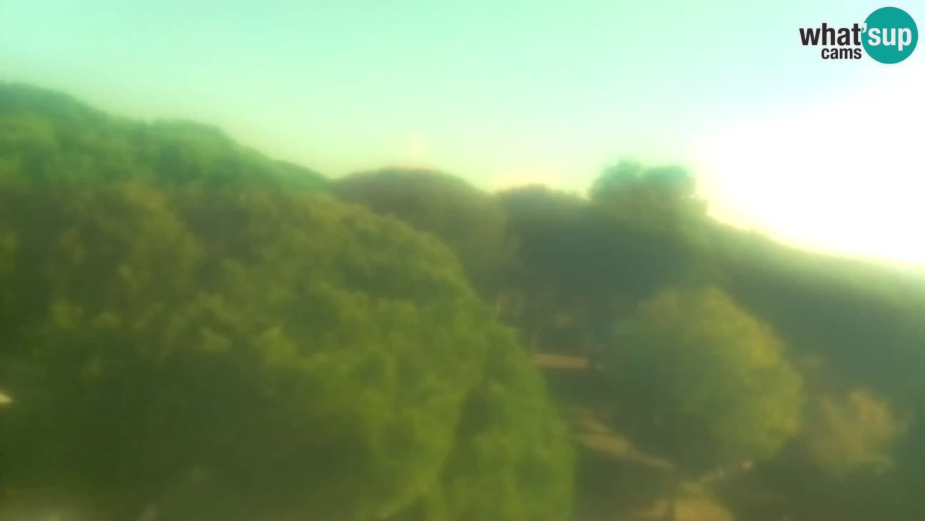 BiVillage – Fažana