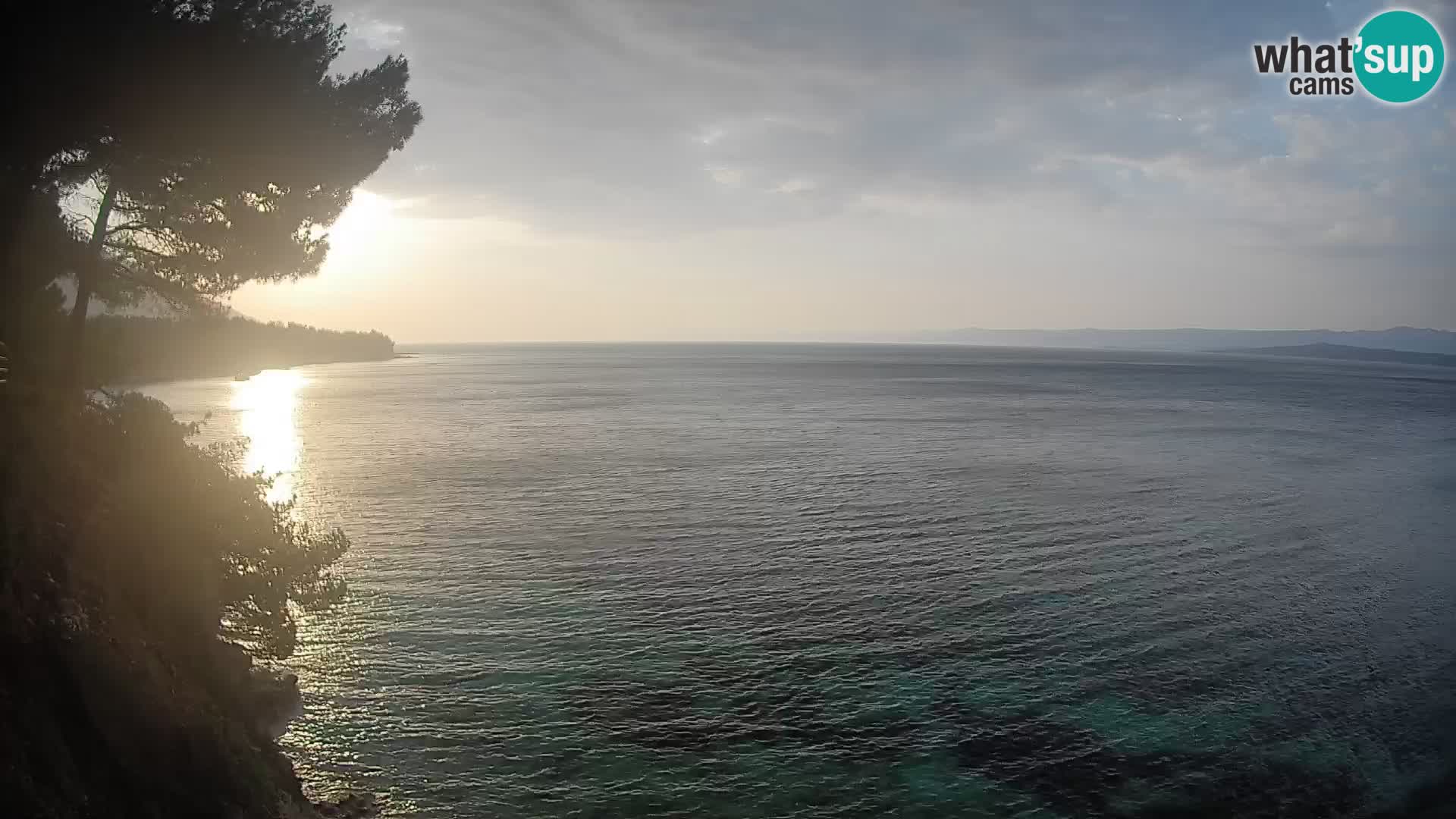Webcam Playa Potočine Bol – Vista en vivo de Borak Beach, Isla de Brač