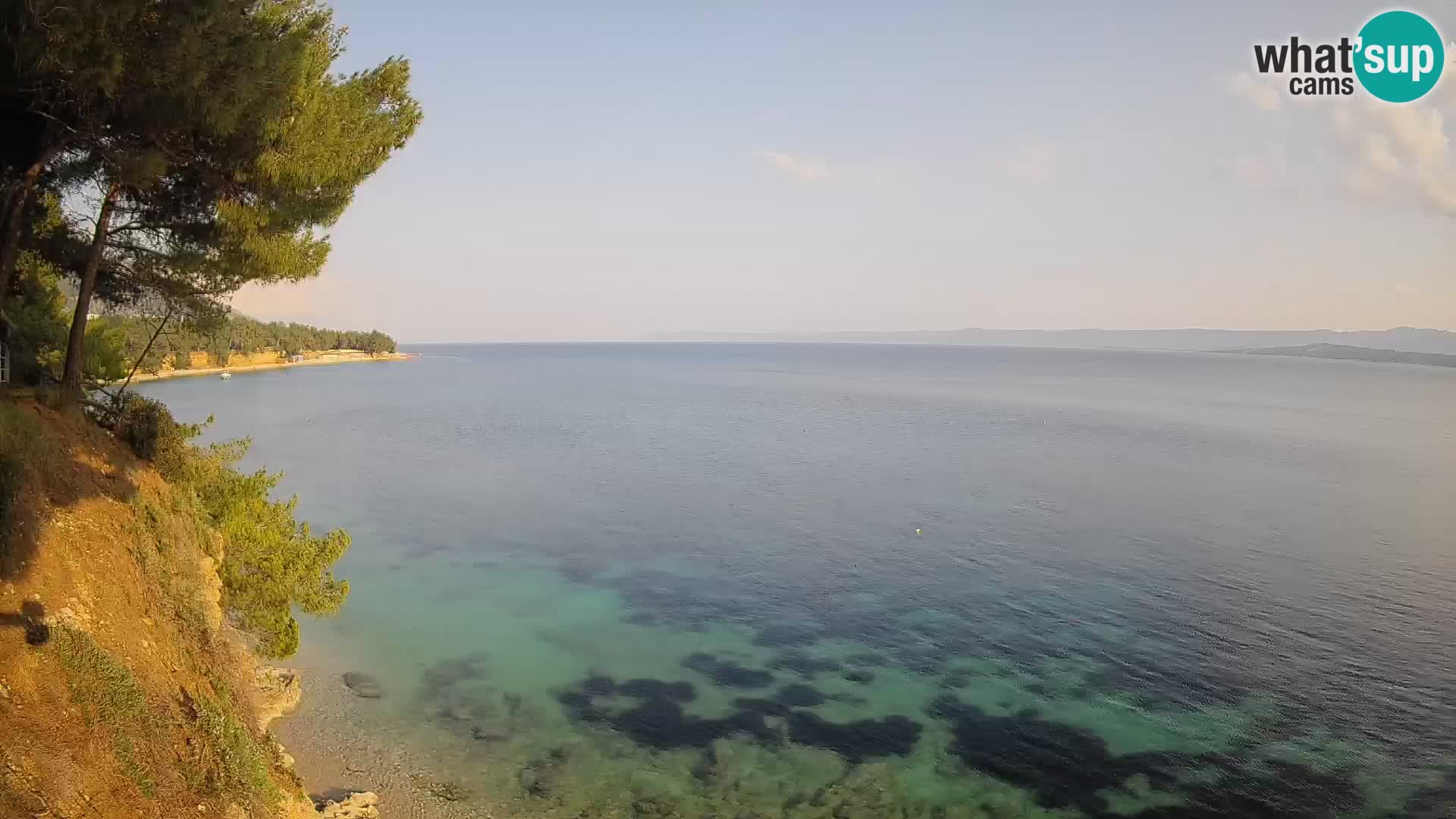 Webcam Potočine Beach Bol – Live View of Borak Beach, Brač Island