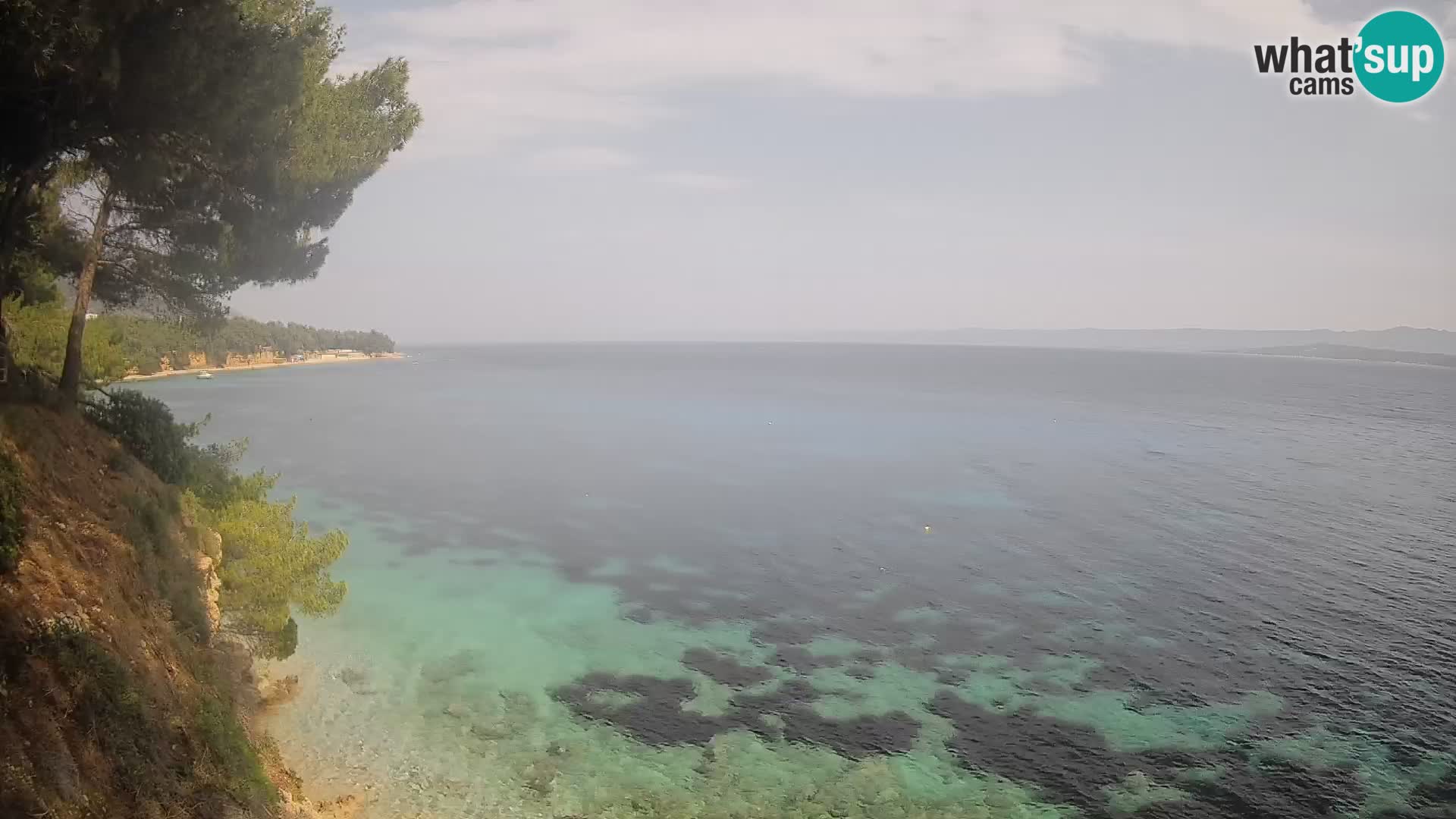 Webcam Playa Potočine Bol – Vista en vivo de Borak Beach, Isla de Brač