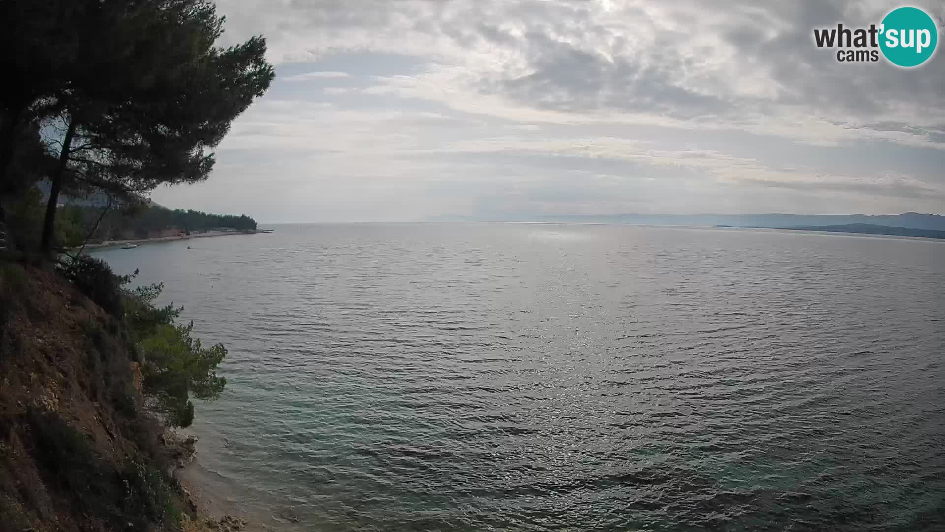 Webcam Potočine Beach Bol – Live View of Borak Beach, Brač Island