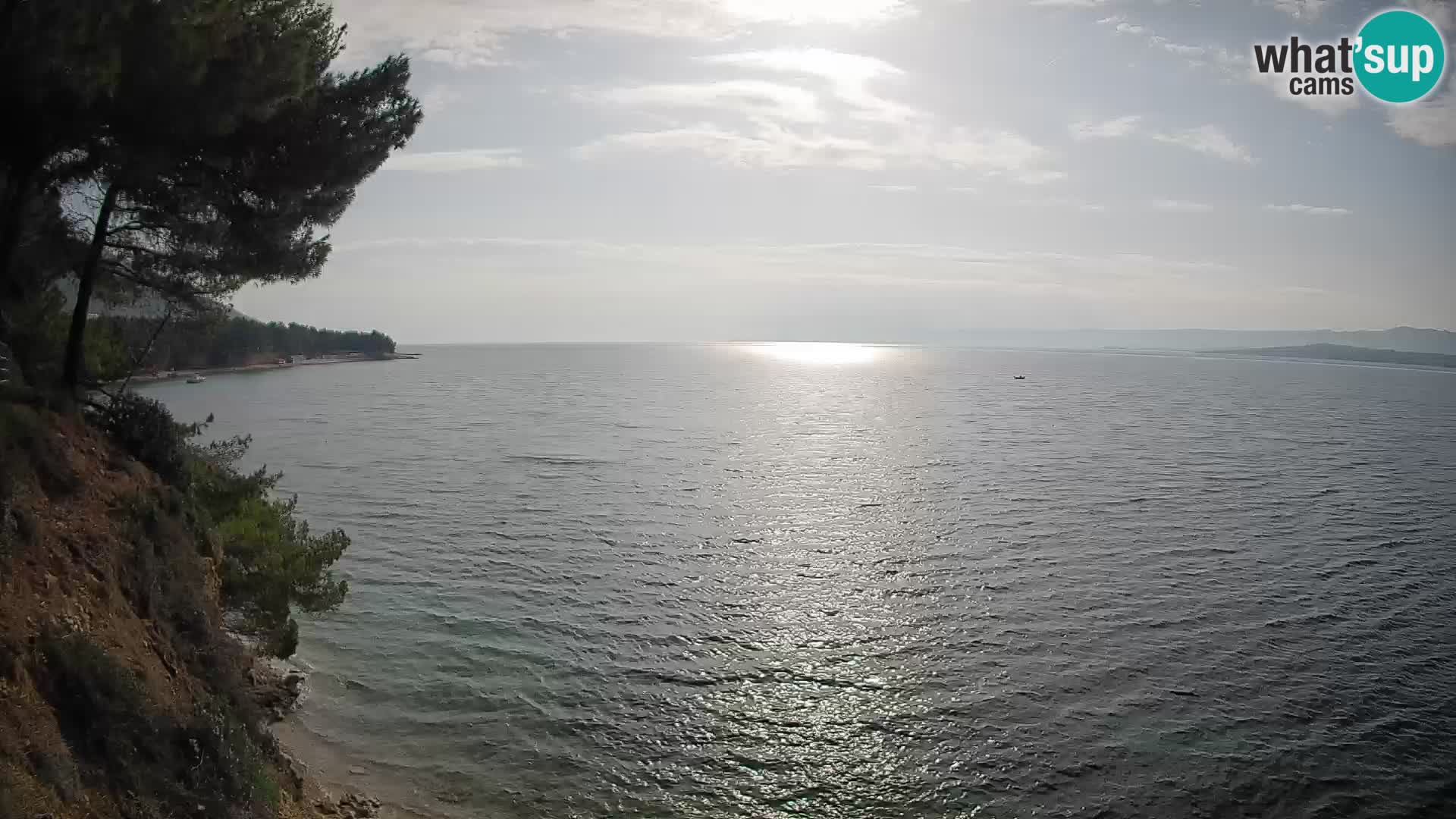 Web kamera Potočine Bol – Pogled uživo na plažu Borak, otok Brač