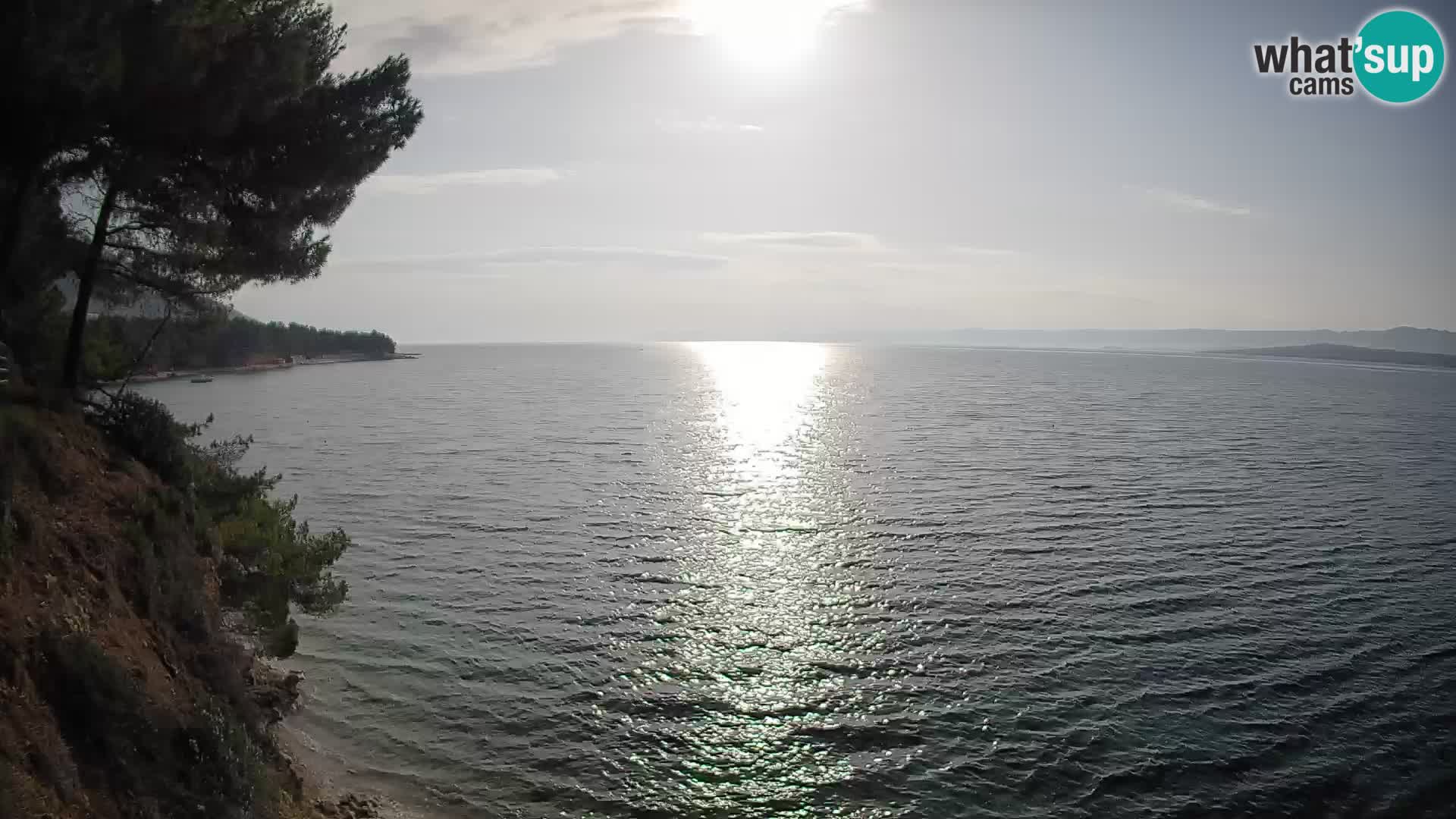 Webcam Potočine Beach Bol – Live View of Borak Beach, Brač Island