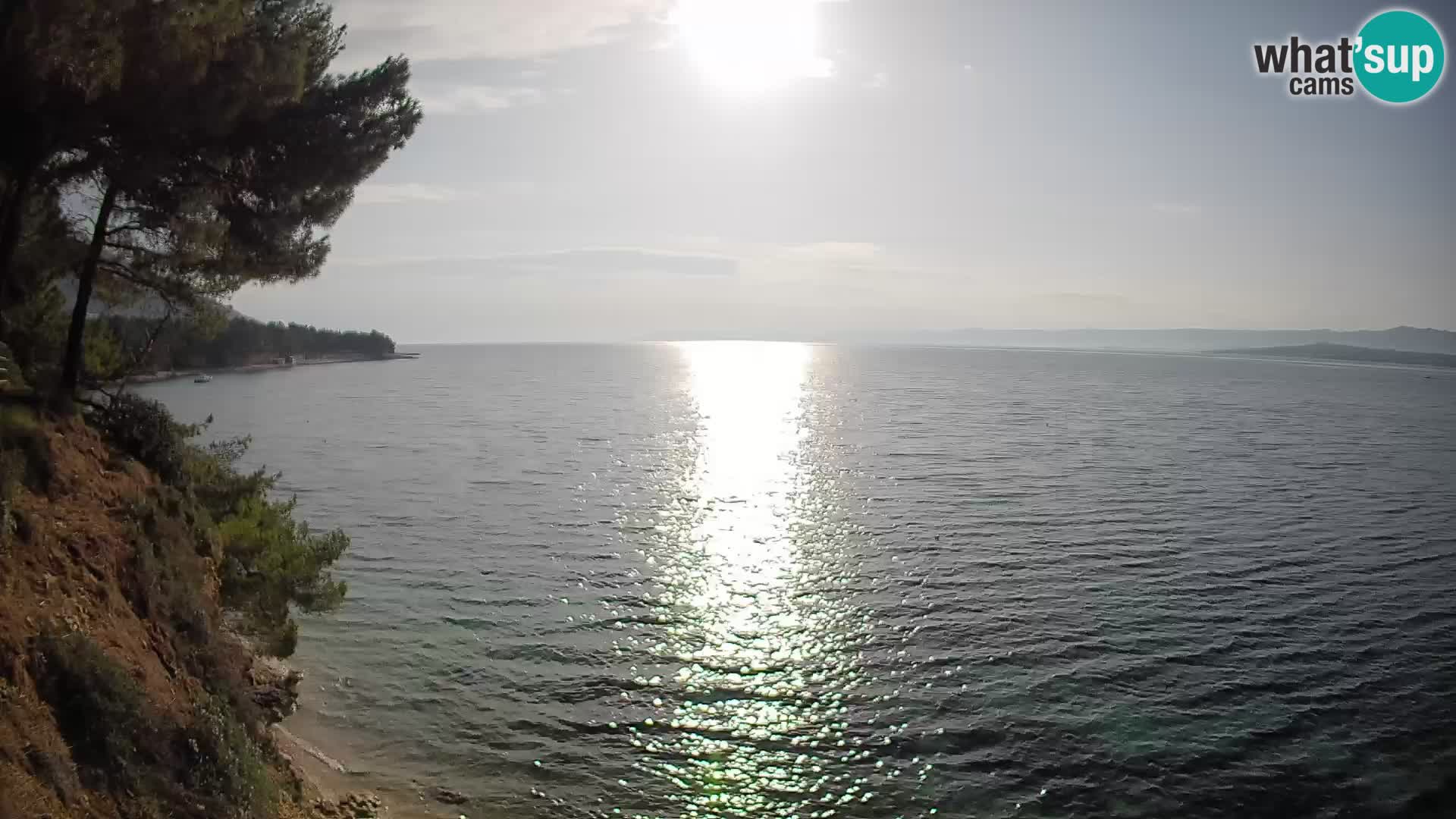 Spletna kamera Plaža Potočine Bol – Pogled v živo na plažo Borak, otok Brač