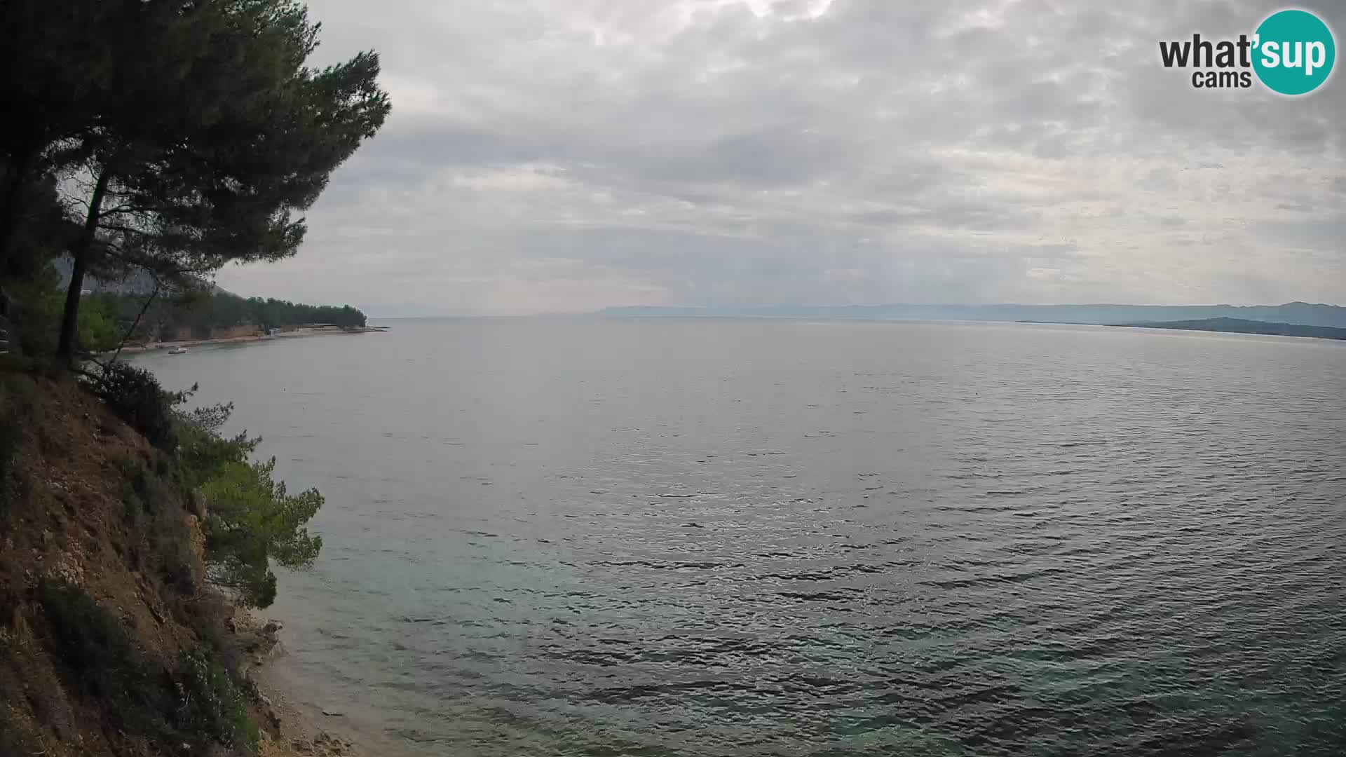 Webcam plage Potočine Bol – Vue en direct sur Borak Beach, île de Brač
