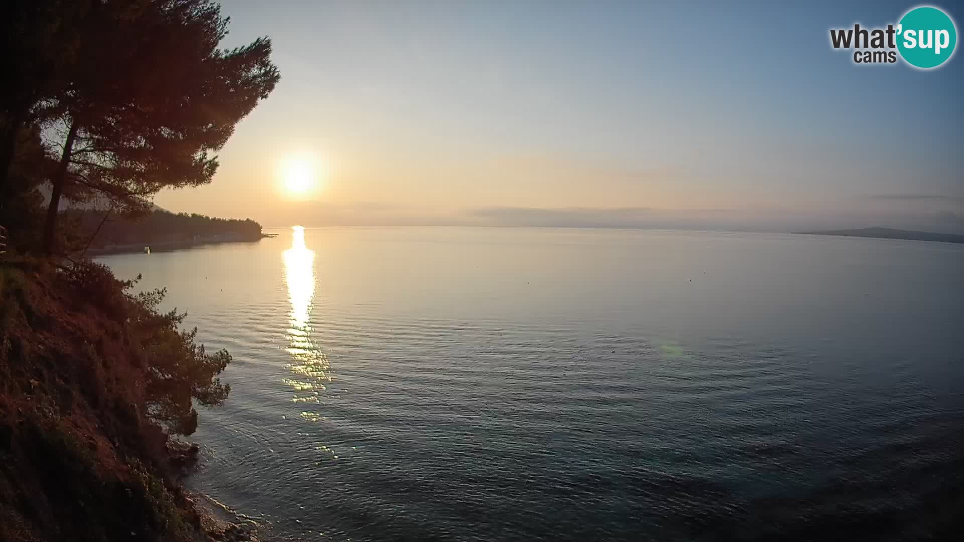 Webcam Potočine Beach Bol – Live View of Borak Beach, Brač Island