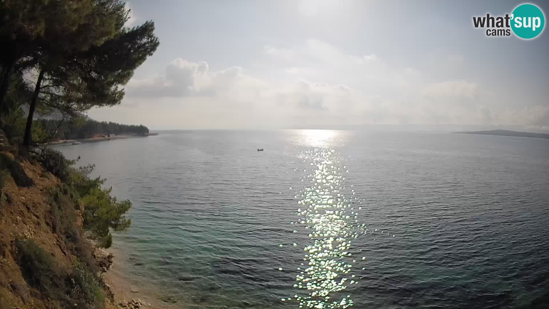 Webcam Potočine Beach Bol – Live View of Borak Beach, Brač Island