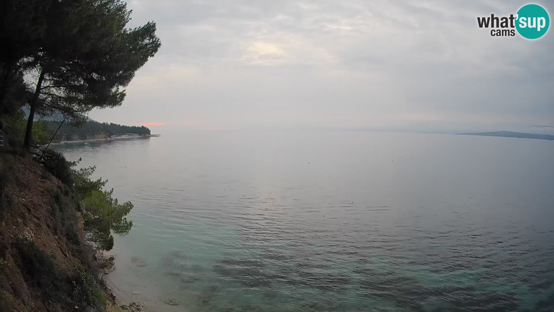 Webcam Potočine Beach Bol – Live View of Borak Beach, Brač Island