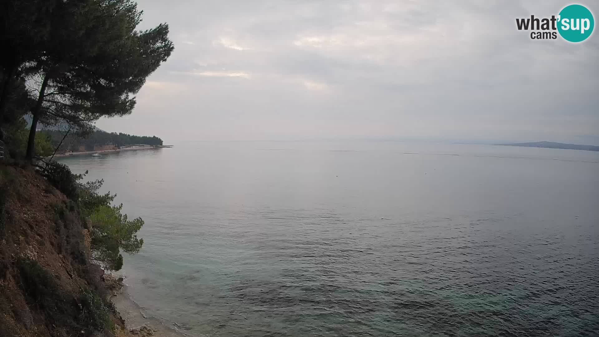 Webcam Spiaggia Potočine Bol – Vista live sulla spiaggia Borak, Isola di Brač