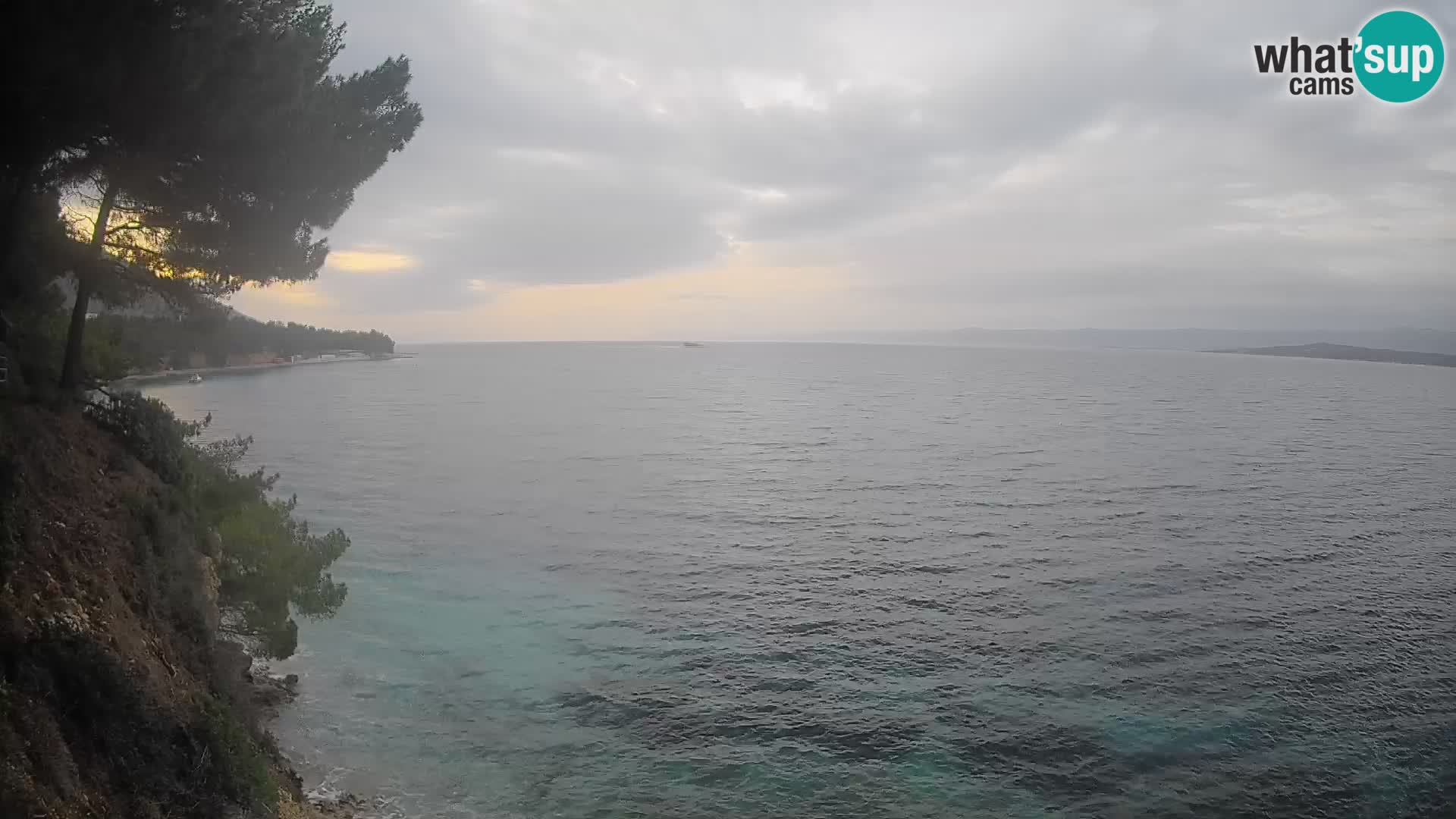 Webcam Playa Potočine Bol – Vista en vivo de Borak Beach, Isla de Brač
