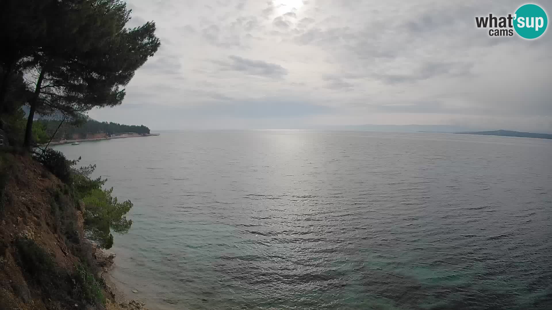 Webcam Playa Potočine Bol – Vista en vivo de Borak Beach, Isla de Brač