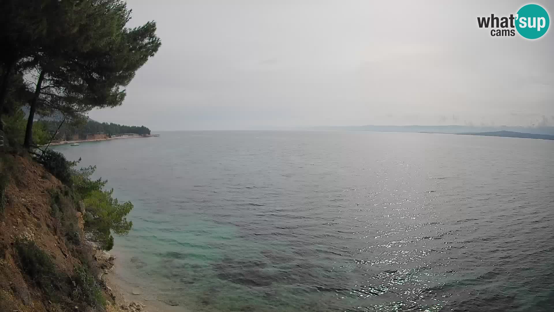 Webcam Playa Potočine Bol – Vista en vivo de Borak Beach, Isla de Brač